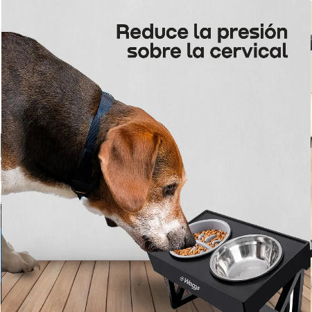 BEBEDERO Y COMEDERO PARA MASCOTAS ELEVADO WAGGS PETF1081 SKU892